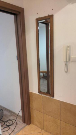 Mała dziupla, Opole